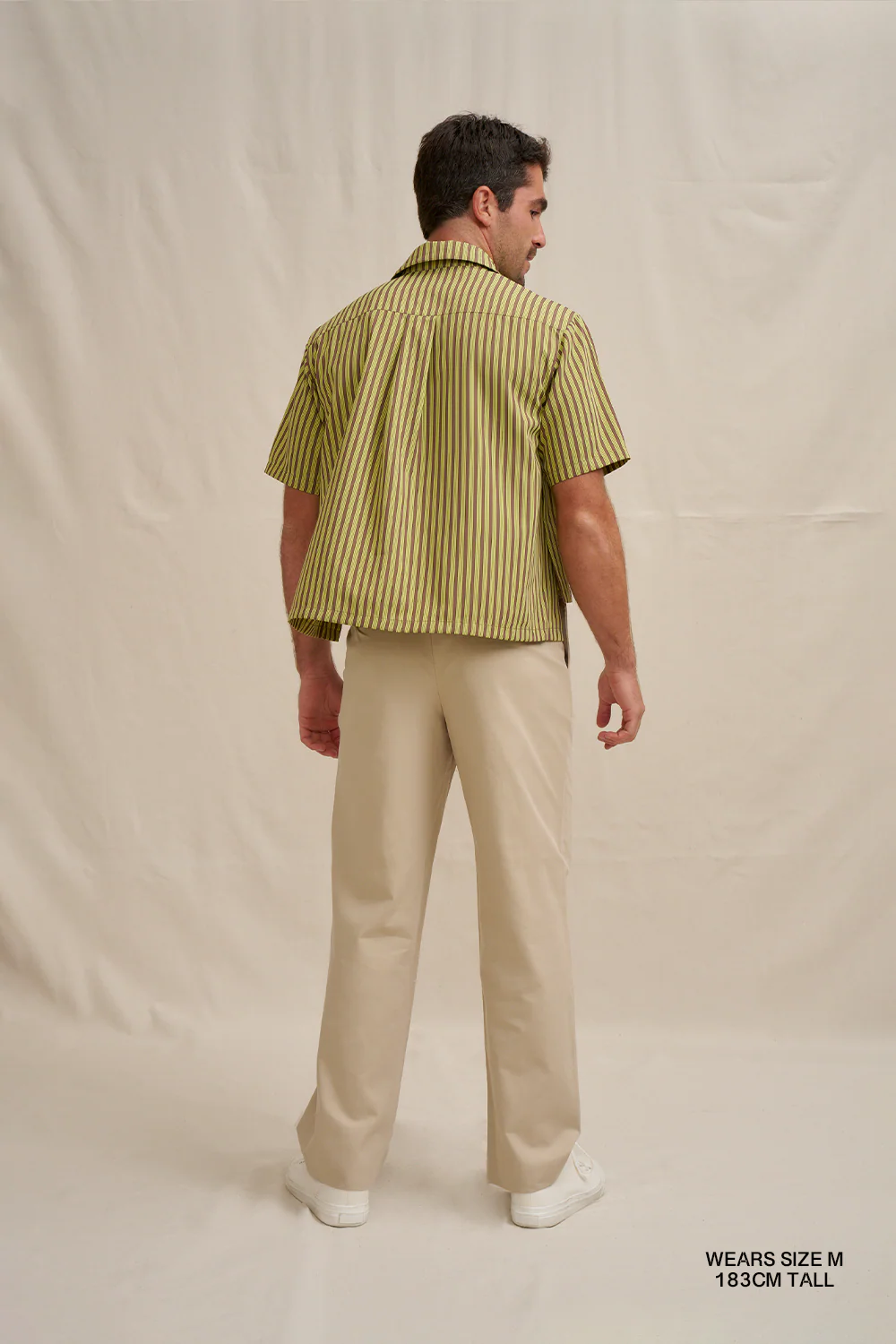 Pear Stripe Shirt - Image 3